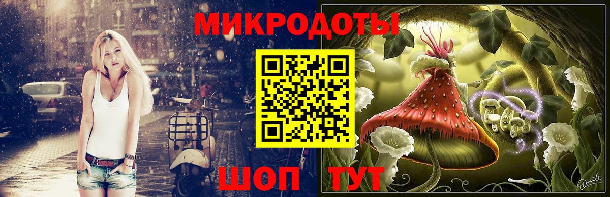 Псилоцибиновые грибы мицелий Новотроицк